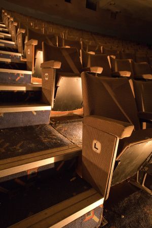 odeon jan 9 2011 odeon 1 image 4 sm.jpg